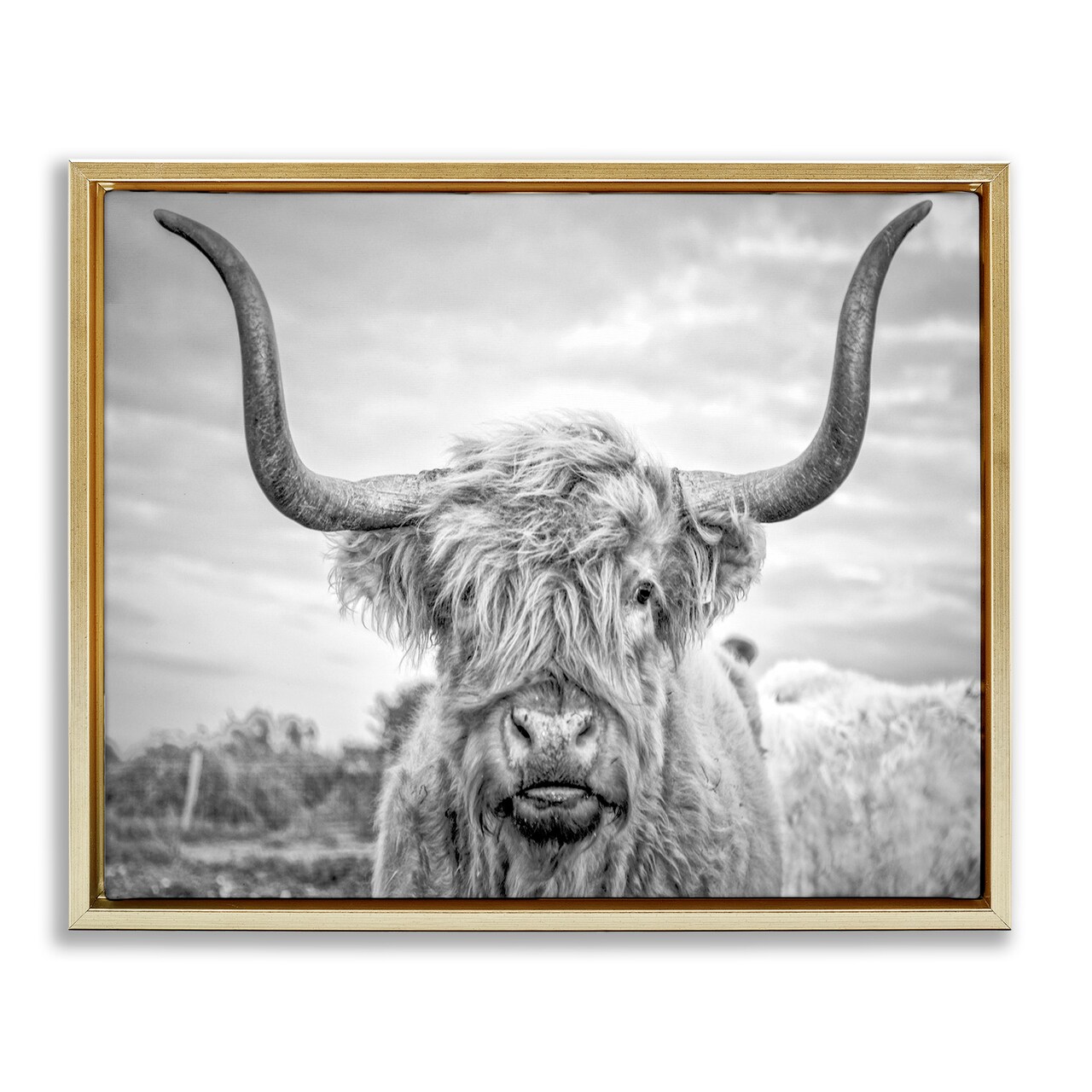 Stupell Industries Grey Highland Cow Photograph Framed Floater Canvas Wall Art